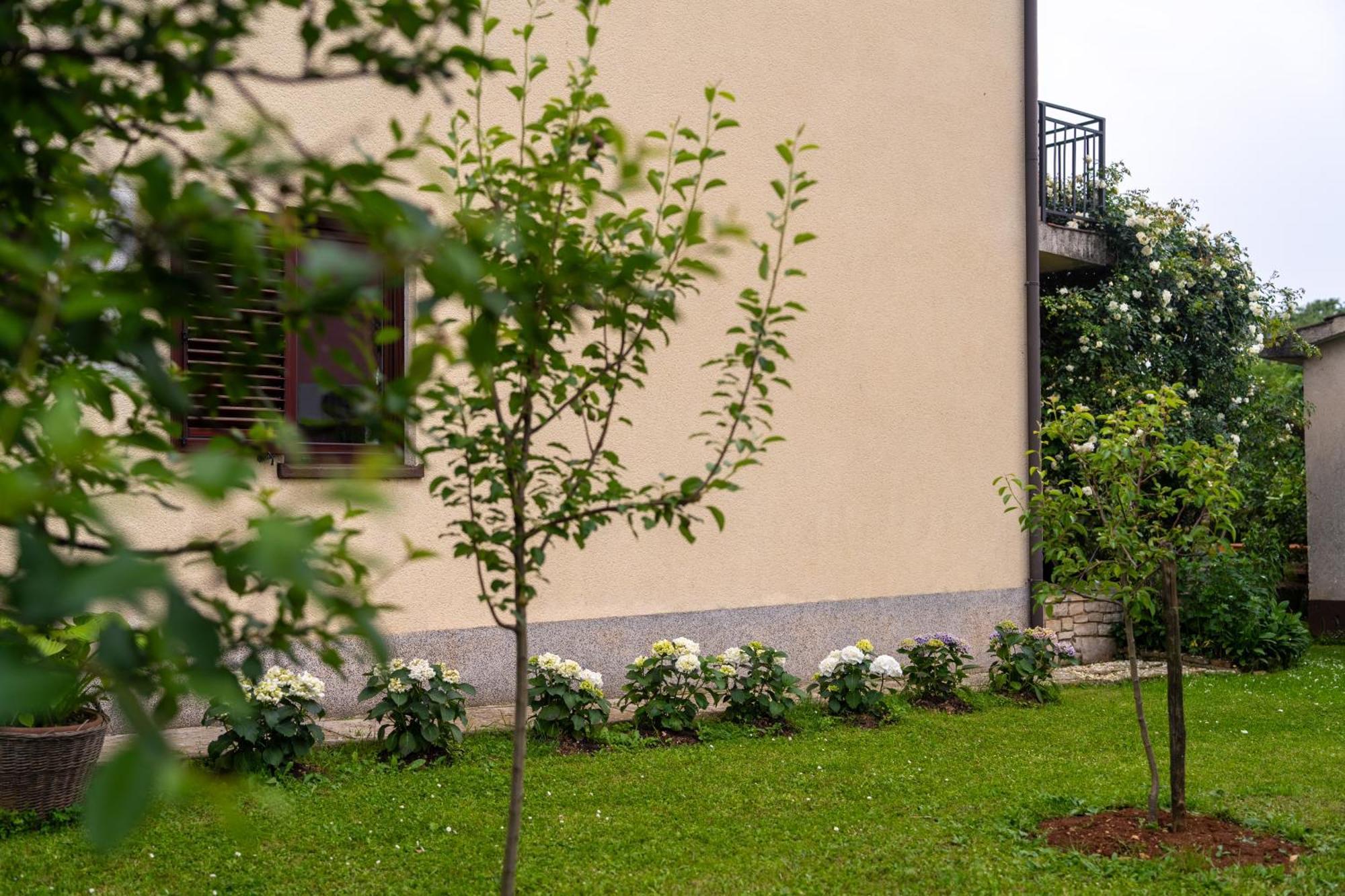 Blue Apartment Върсар Екстериор снимка